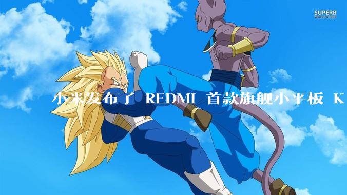 小米发布了 REDMI 首款旗舰小平板 K Pad，仅 8.8 英寸，小巧便携，如何评价这一设计？