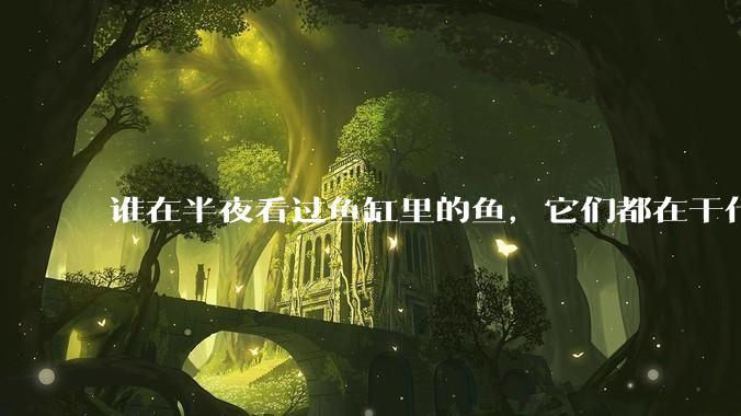 谁在半夜看过鱼缸里的鱼，它们都在干什么？