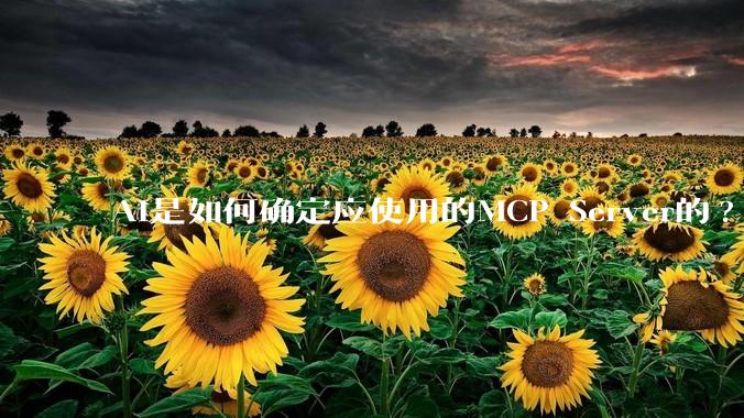 AI是如何确定应使用的MCP Server的?